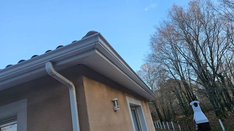 Bandeaux en aluminium blanc avec parefeuilles au Barp en Gironde pour vos extérieurs