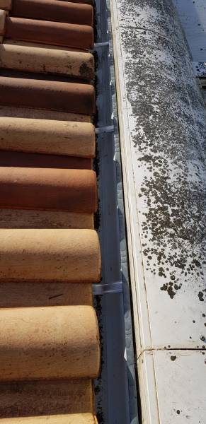 Gouttières demi-rondes en gris antique et leurs descentes par un professionnell à Parentis-en-Born