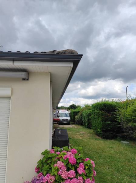 Gouttières Niagara DAL'ALU de couleur bleu ardoise aux alentours de Saint-Pierre-du-Mont